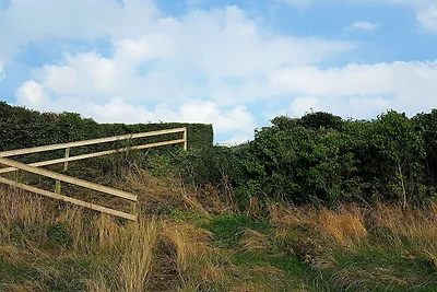8 Personen Ferienhaus in Ølsted-By Traum