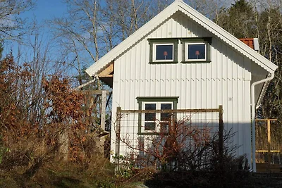 4 Personen Ferienhaus in Tanumshede