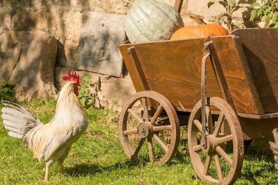 Appartamento in un'area boschiva sul lago di...