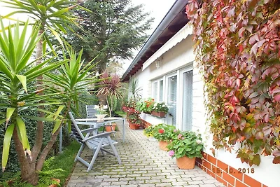 Ferienhaus Erholungsurlaub Oberharz am Brocken