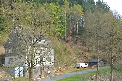 Idyllisches Ferienhaus im Wald in Liesen