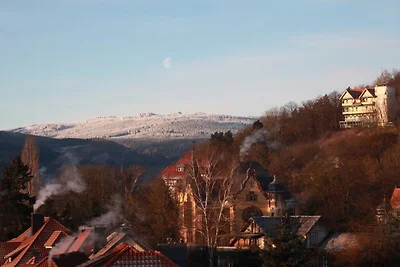 Schlossblick am Sonnenbrink