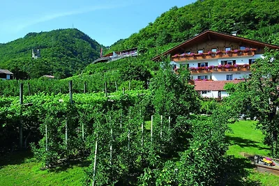 Schrenteweihof Mondschein