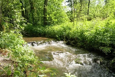 Terrassenwohnung mit Wald