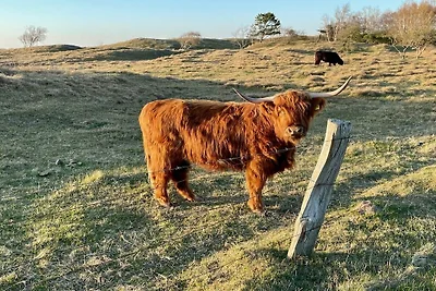 Ferienhaus Baumhaus Weissenhäuser Strand
