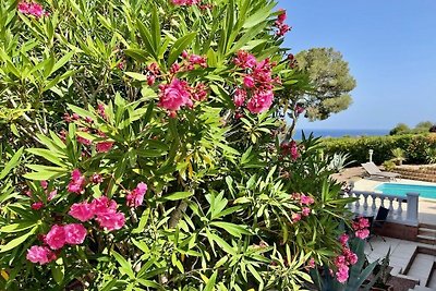 Hibiscus Residenza di vacanza confortevole