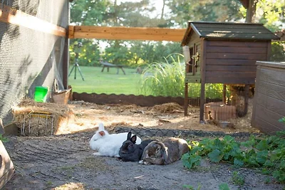 Ferienhaus mit 2 Schlafzimmer