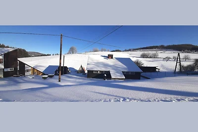 Geräumiges Apartment mit privater Terrasse