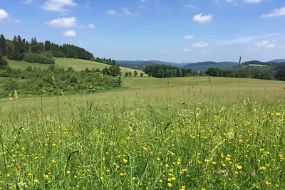 Wohnung in Stormbruch in der Nähe des...