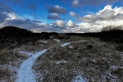 4 Personen Ferienhaus in Skagen-By Traum