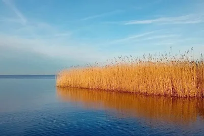 Kuća za odmor Dopust za oporavak Ueckermünde