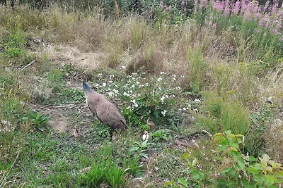 Idyllisches Meer in Svaneke -- By Traum...