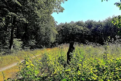 6 Personen Ferienhaus in Dannemare