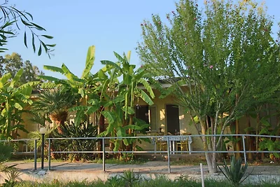 Residence op 8 km afstand van Tropea, zwembad...