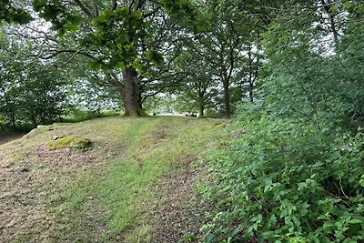 5 Sterne Ferienhaus in Hovborg-By Traum