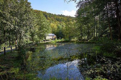 Moderna casa vacanze con giardino a Jalhay