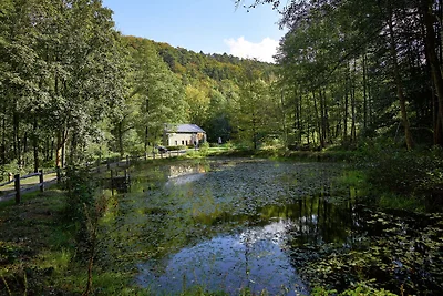 Casa vacanze con giardino a Jalhay