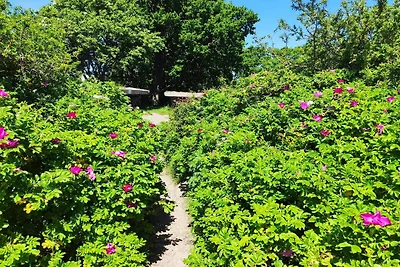 6 Personen Ferienhaus in Sjølund