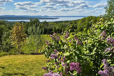 4 Sterne Ferienhaus in TÄLLBERG