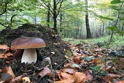 Gemütliches Holzchalet im Wald, mit...