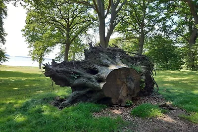 5 Personen Ferienhaus in Rude-By Traum