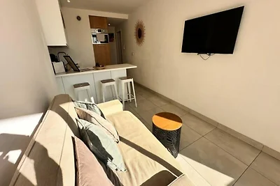 Wohnung in Grau-du-Roi mit Meerblickterrasse