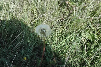 7 Personen Ferienhaus in Bredebro-By Traum