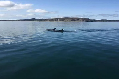 Capanna su Llŷn Penisola vicino Lago Privato