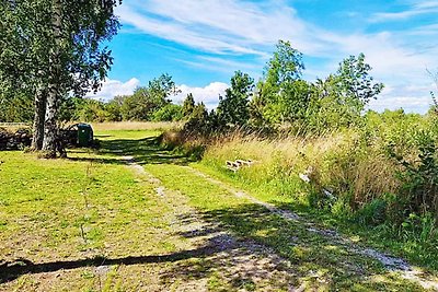 4 Sterne Ferienhaus in Køpingsvik-By Traum