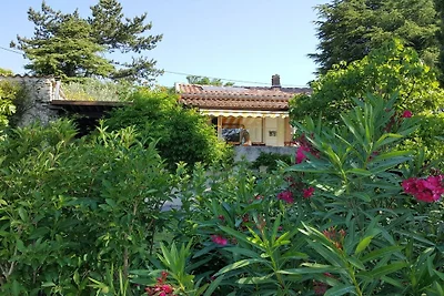 Vacanze in Provenza