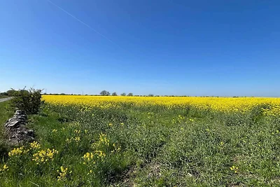 4 Personen Ferienhaus in Mörbylånga