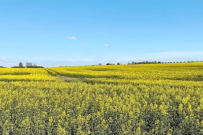 4 Sterne Ferienhaus in BÅSTAD-By Traum