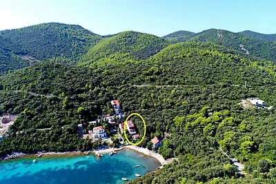 Apartments Villa Cebalo Korčula - Standard On...