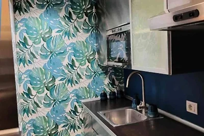 Außergewöhnliche Lage am Hafen von Nizza