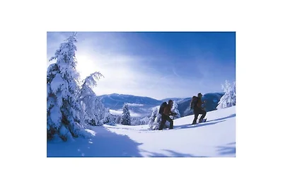 Appartamento per vacanze con 2 camere da...