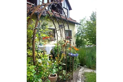 Kersenboomgaard bij Haus Bayer