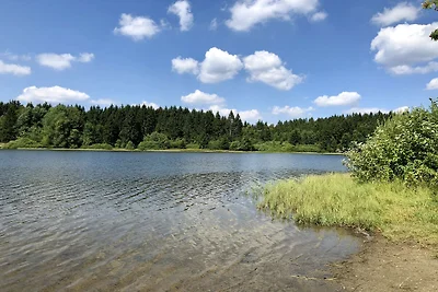 Hütte am Waldsee im Harz