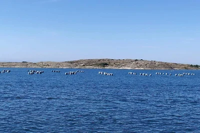 Meeresruhe in Mollosund-By Traum