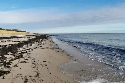 10 Personen Ferienhaus in Væggerløse-By Traum