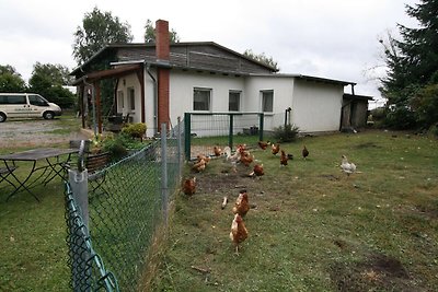 Ferienhaus, Parmen bei Feldberg