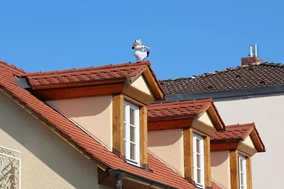 Ferienwohnung mit 2 Schlafzimmer