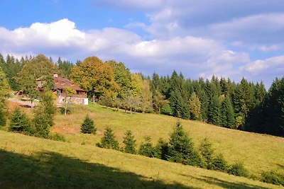Historische Berghütte Tara