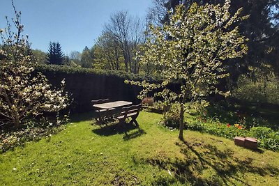 Appartement in Thale - Altenbrak met tuin