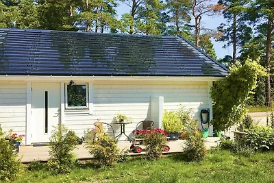 4 Personen Ferienhaus in BORGHOLM