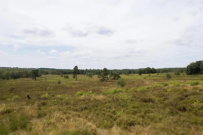 Chalet in der Nähe von Wanderwegen und Wald