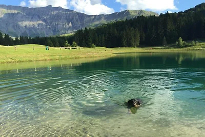 Schönes Chalet mit Kamin in Megève