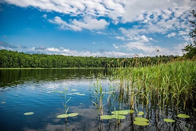 Scandinavisch vakantiehuis direct aan het...