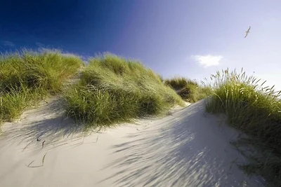 Wohnung in den Niederlanden mit Balkon