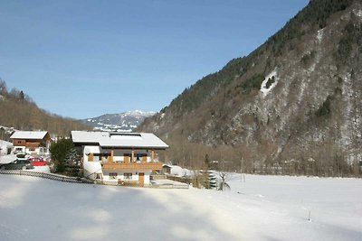 Apartment in St. Gallenkirch nahe Skigebiet