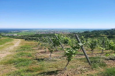Casa vacanze a Dambach-la-Ville con terrazza